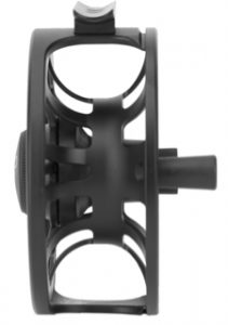 ECHO Ion