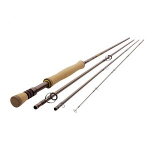 Redington Path Collection