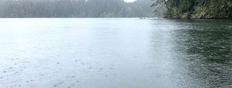 Fishing Report for May 5, 2022 ECC5ADF3-0095-498A-AE1E-31F713B7AD64_1_201_a