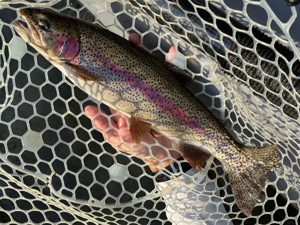 Fishing Report May 5, 2023 Home Waters Fly Fishing